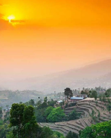 Untitled design - 2025-12-06T084942.564