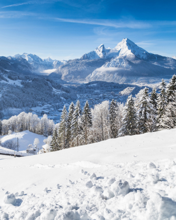 Untitled design - 2025-12-06T091650.829