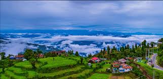 Ilam and Darjeeling Travel Guide